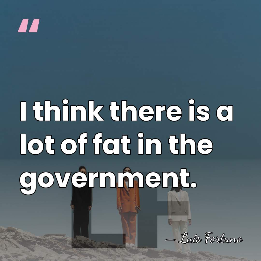 I think there is a lot of fat in the government. - Luis Fortuno