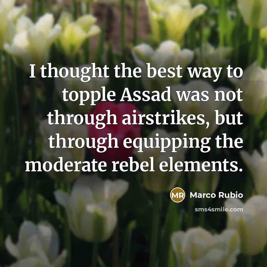 “I thought the best way to topple Assad was not…” quote by Marco Rubio