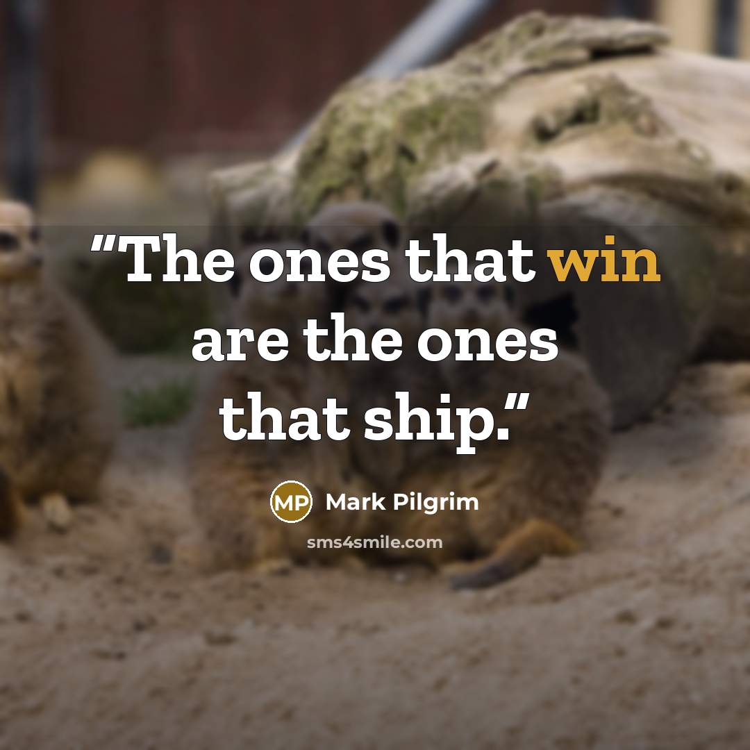 “The ones that win are the ones that ship.” quote by Mark Pilgrim