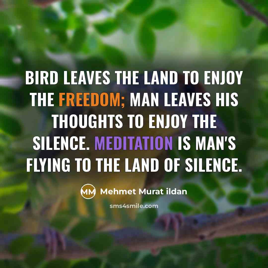 “Bird leaves the land to enjoy the freedom; man leaves…” quote by Mehmet Murat Ildan