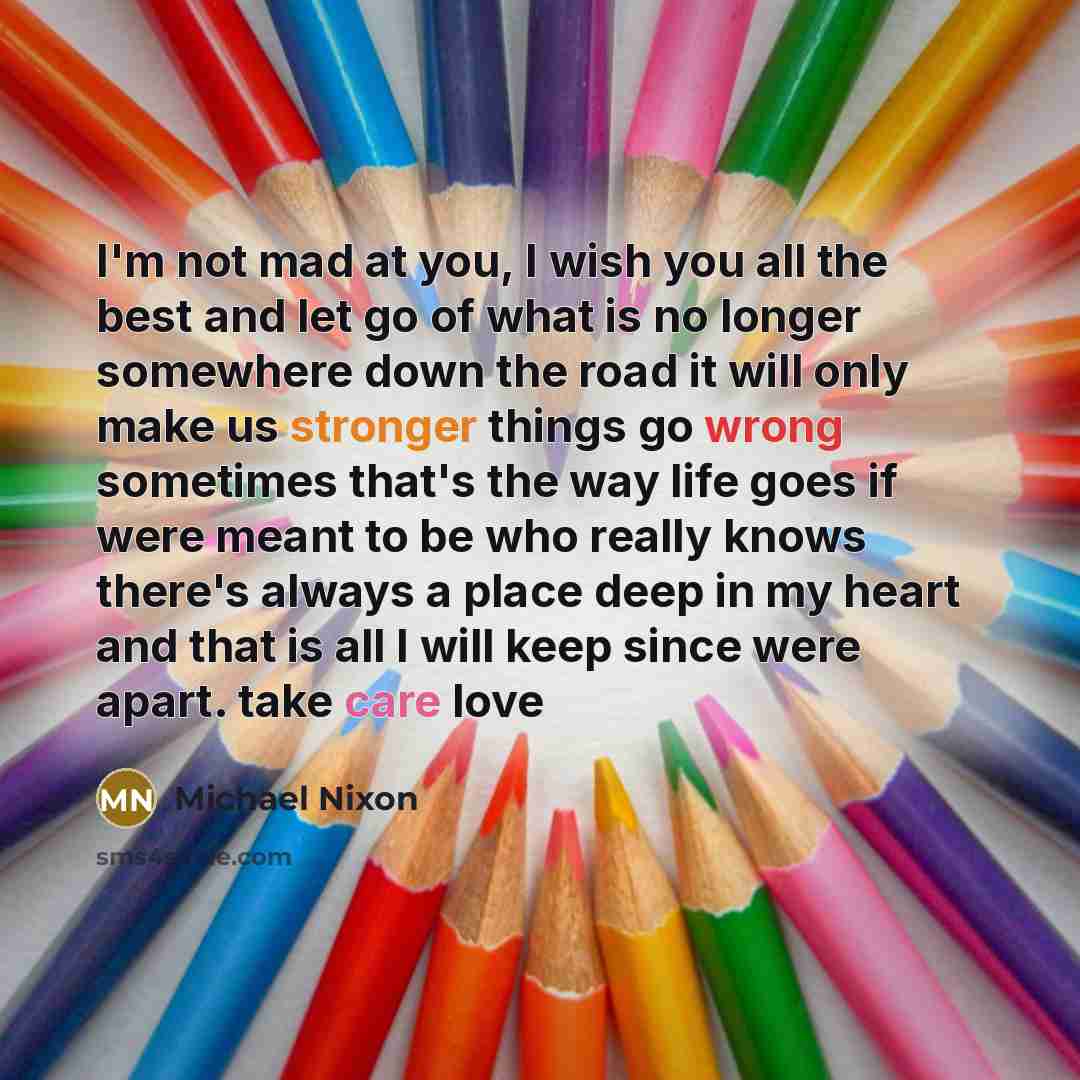 “I'm not mad at you, I wish you all the…” quote by Michael Nixon