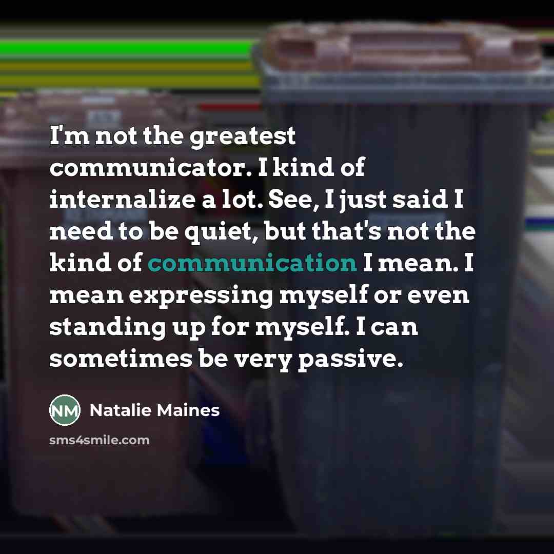 “I'm not the greatest communicator. I kind of internalize a…” quote by Natalie Maines