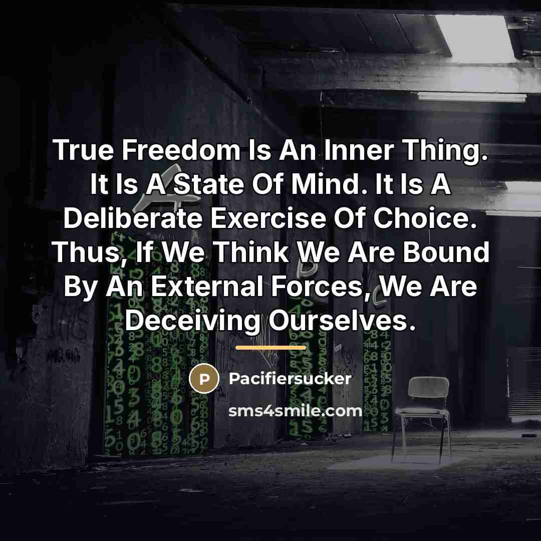 “True Freedom Is An Inner Thing. It Is A State…” quote by Pacifiersucker