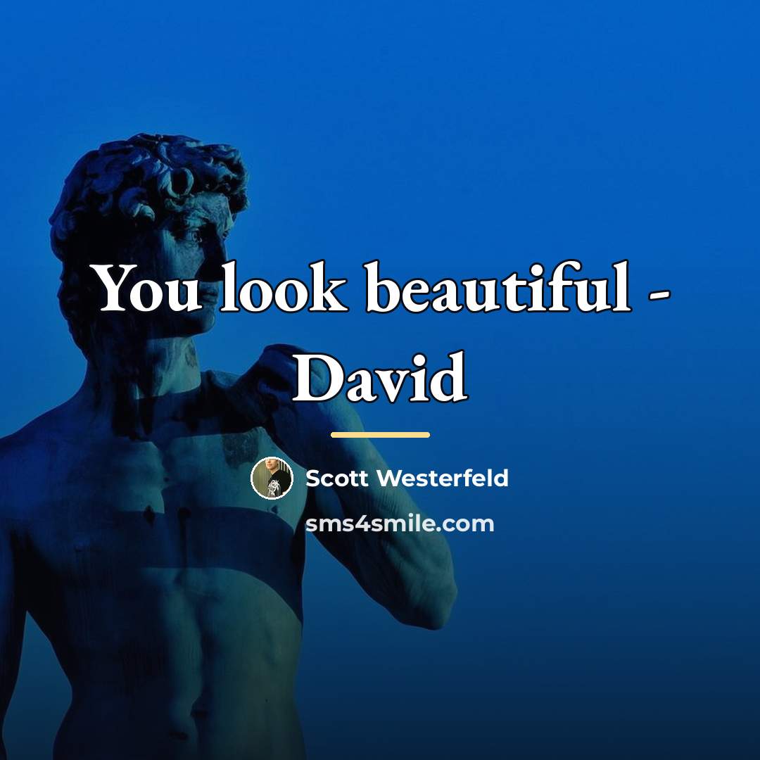 “You look beautiful - David…” quote by Scott Westerfeld