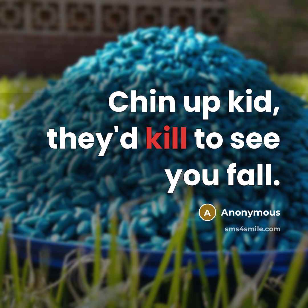 “Chin up kid, they'd kill to see you fall.” quote by Anonymous
