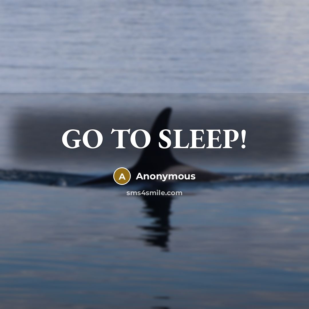 “GO TO SLEEP!…” quote by Anonymous