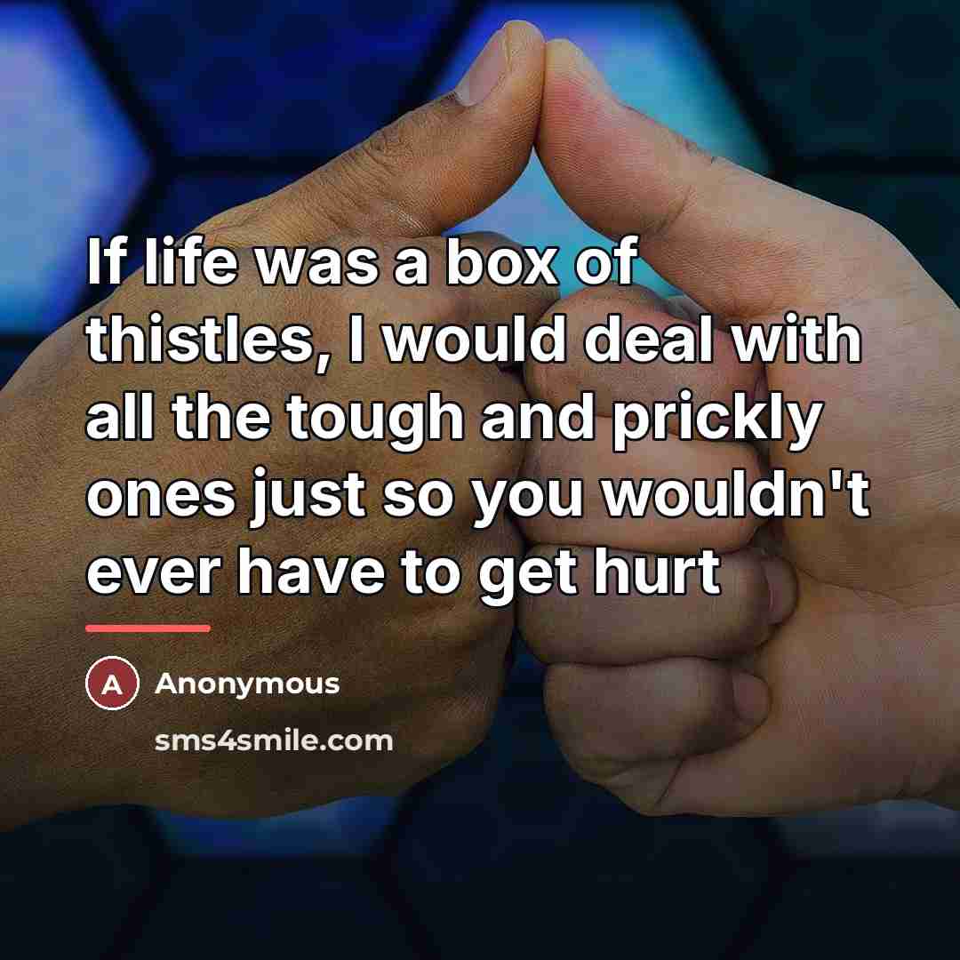 “If life was a box of thistles, I would deal…” quote by Anonymous