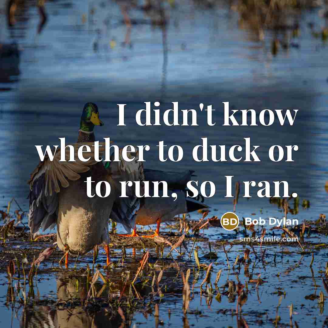 “I didn't know whether to duck or to run, so I ran.” quote by Bob Dylan