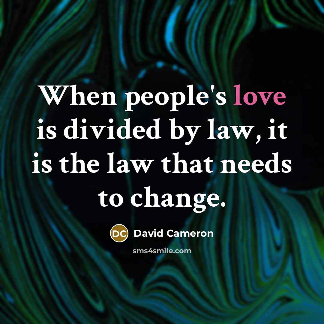 “When people's love is divided by law, it is the…” quote by David Cameron