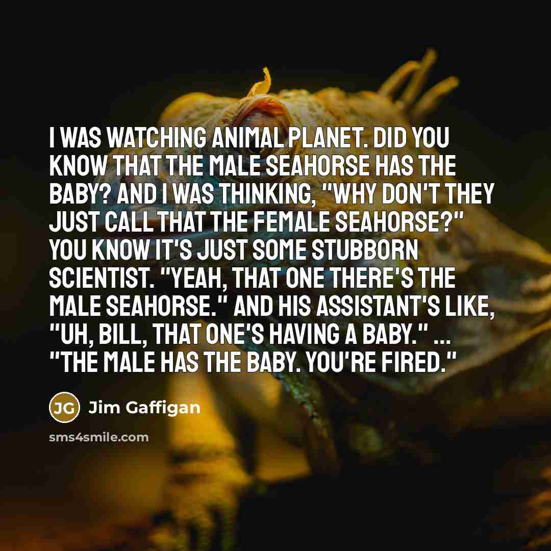 “I was watching Animal Planet. Did you know that the…” quote by Jim Gaffigan