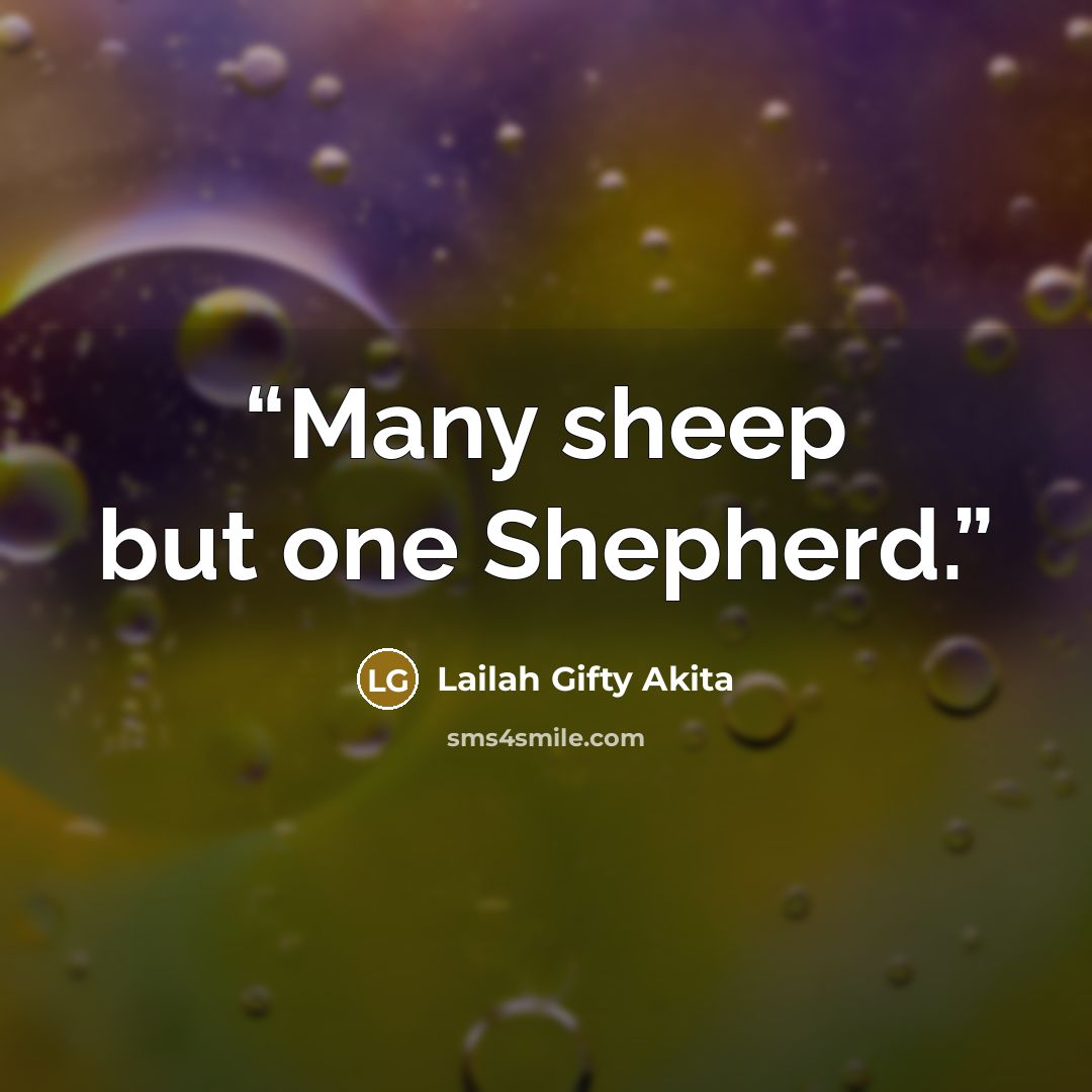 “Many sheep but one Shepherd.” quote by Lailah Gifty Akita