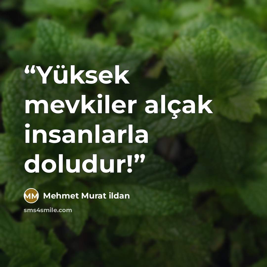 “Yüksek mevkiler alçak insanlarla doludur!” quote by Mehmet Murat ildan
