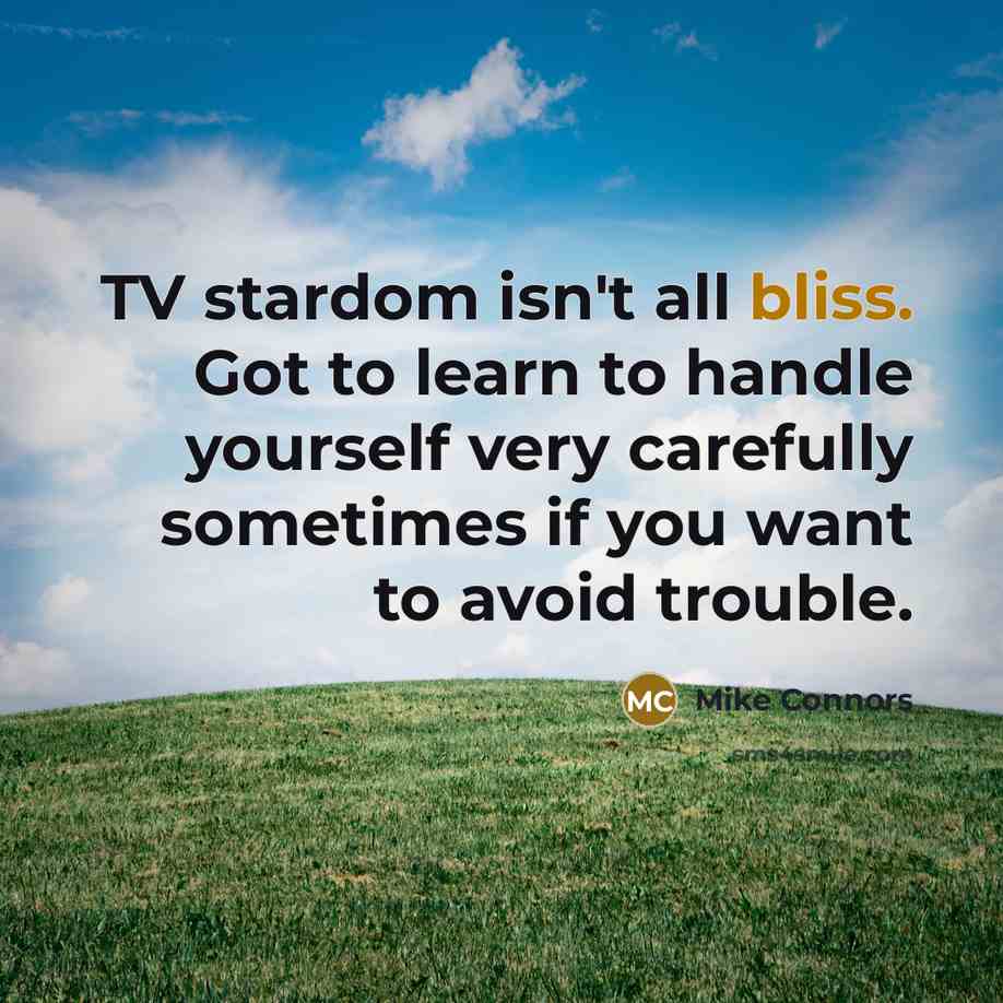 “TV stardom isn't all bliss. Got to learn to handle…” quote by Mike Connors