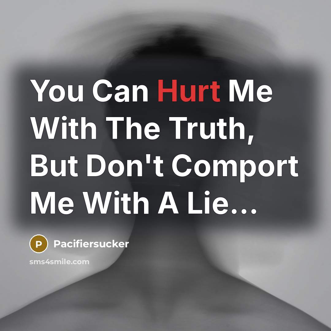 “You Can Hurt Me With The Truth, But Don't Comport…” quote by Pacifiersucker