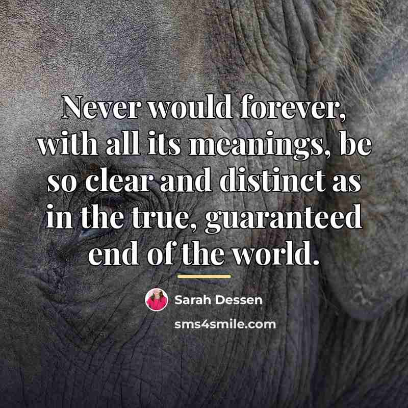 “Never would forever, with all its meanings, be so clear…” quote by Sarah Dessen