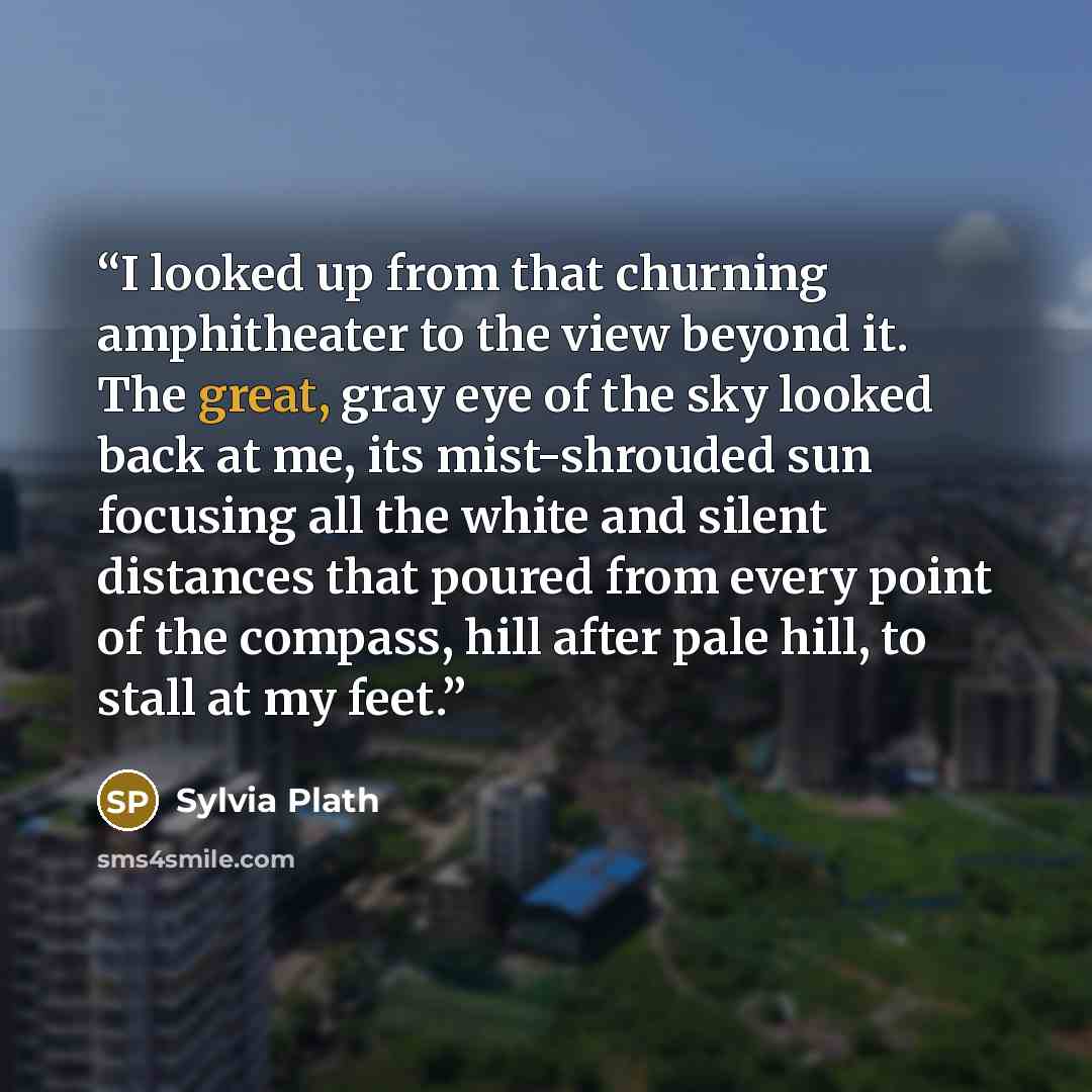 “I looked up from that churning amphitheater to the view beyond it. The great, gray eye of the sky looked back at me, its mist-shrouded sun focusing all the white and silent distances that poured from every point of the compass, hill after pale hill, to stall at my feet.” quote by Sylvia Plath