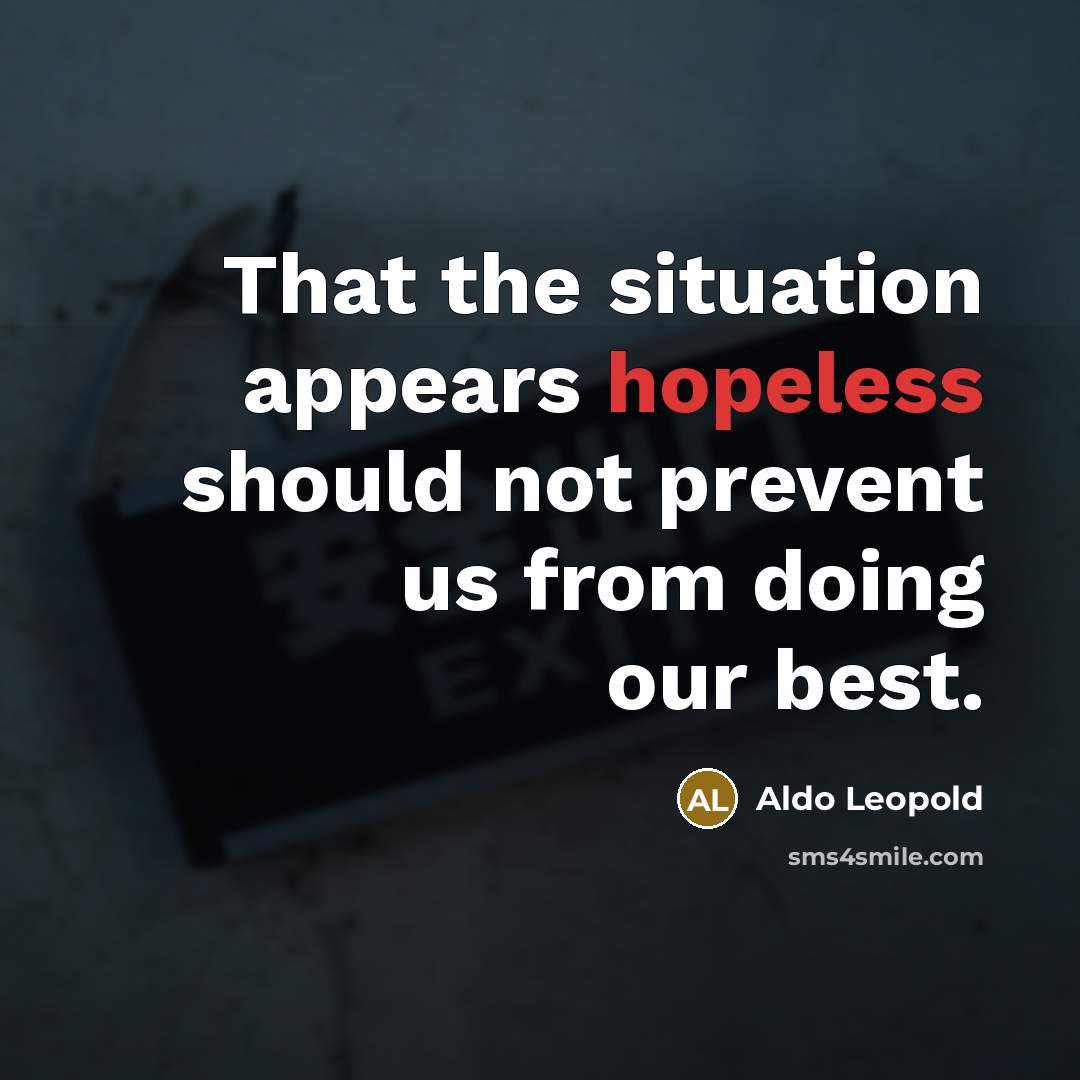 “That the situation appears hopeless should not prevent us from…” quote by Aldo Leopold