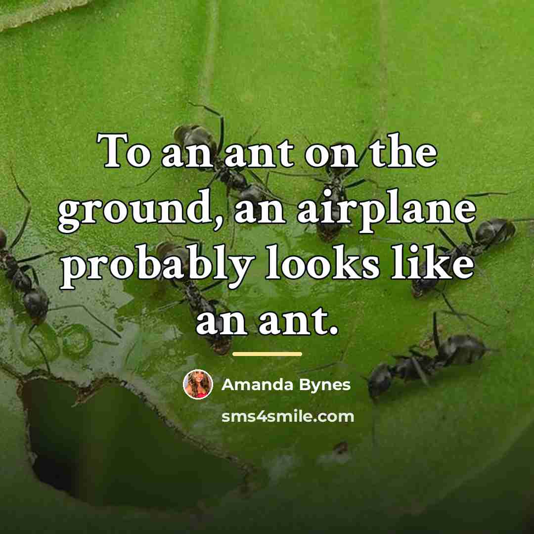 “To an ant on the ground, an airplane probably looks…” quote by Amanda Bynes
