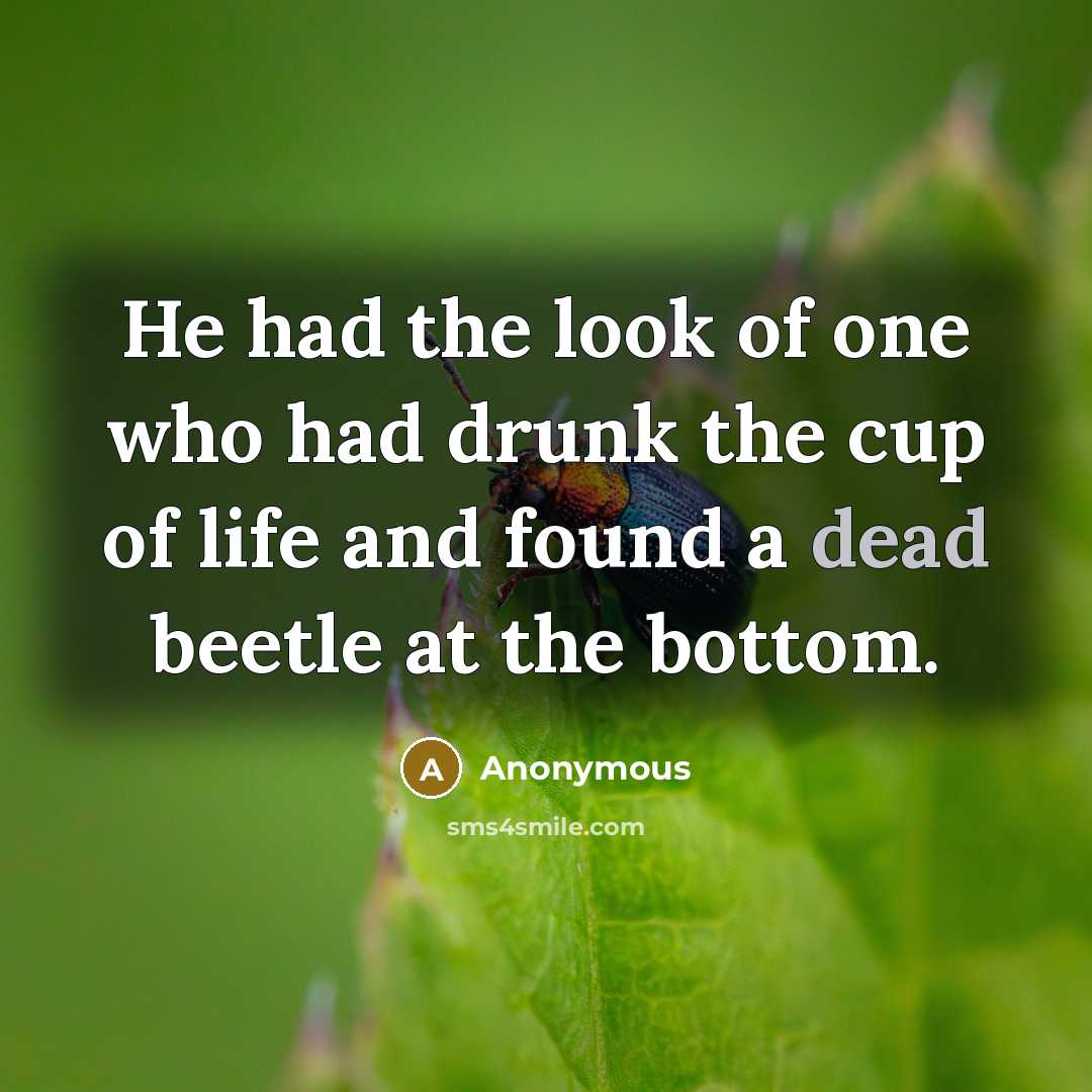 “He had the look of one who had drunk the cup of life and found a dead beetle at the bottom.” quote by Anonymous