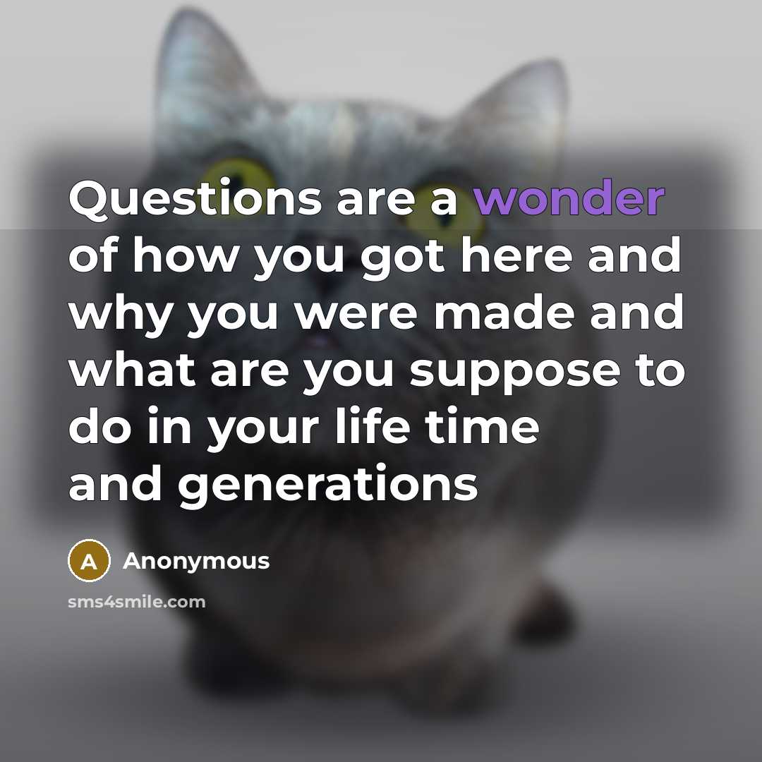 “Questions are a wonder of how you got here and…” quote by Anonymous