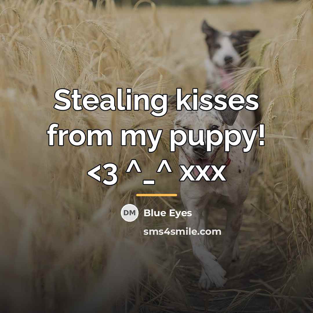 “Stealing kisses from my puppy!…” quote by Blue Eyes
