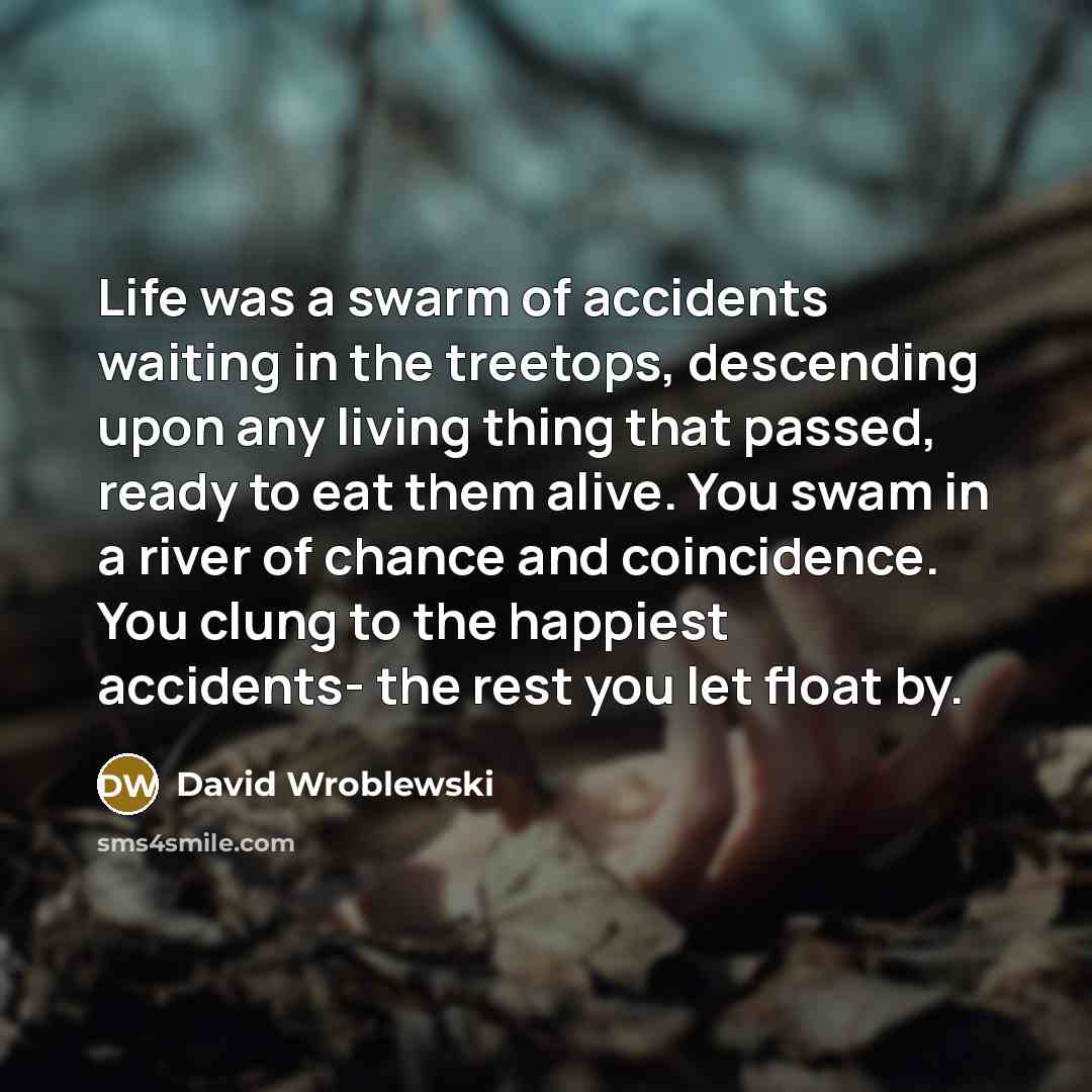 “Life was a swarm of accidents waiting in the treetops,…” quote by David Wroblewski