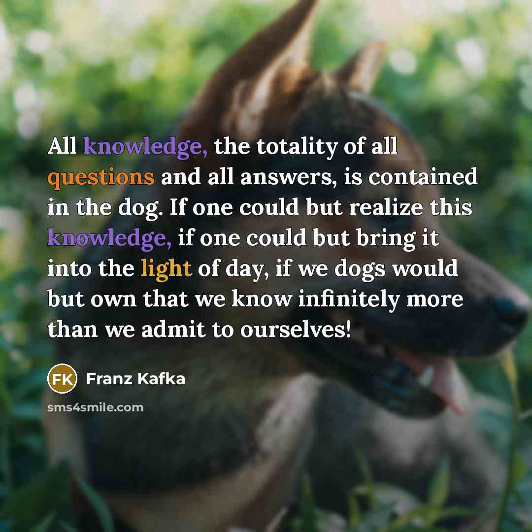 “All knowledge, the totality of all questions and all answers,…” quote by Franz Kafka