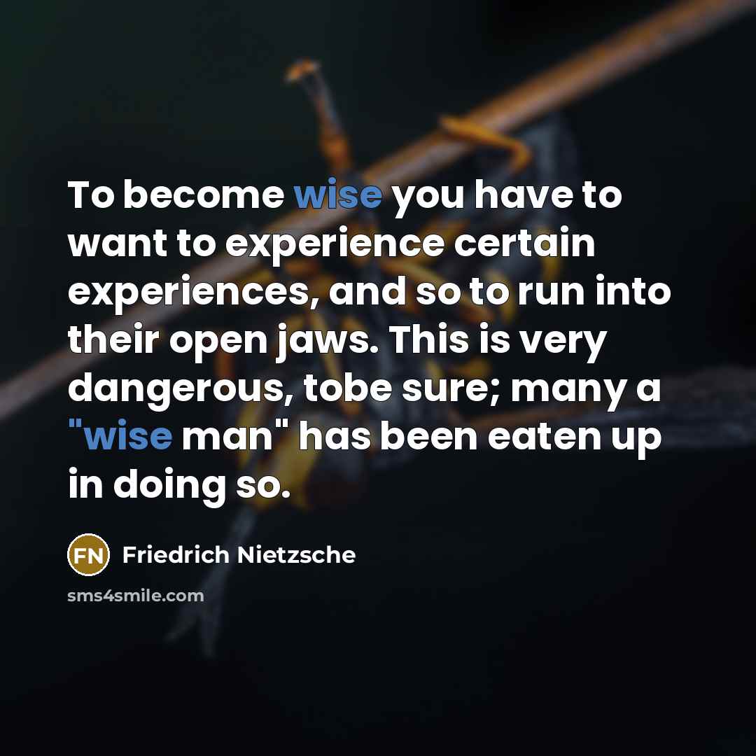 “To become wise you have to want to experience certain…” quote by Friedrich Nietzsche