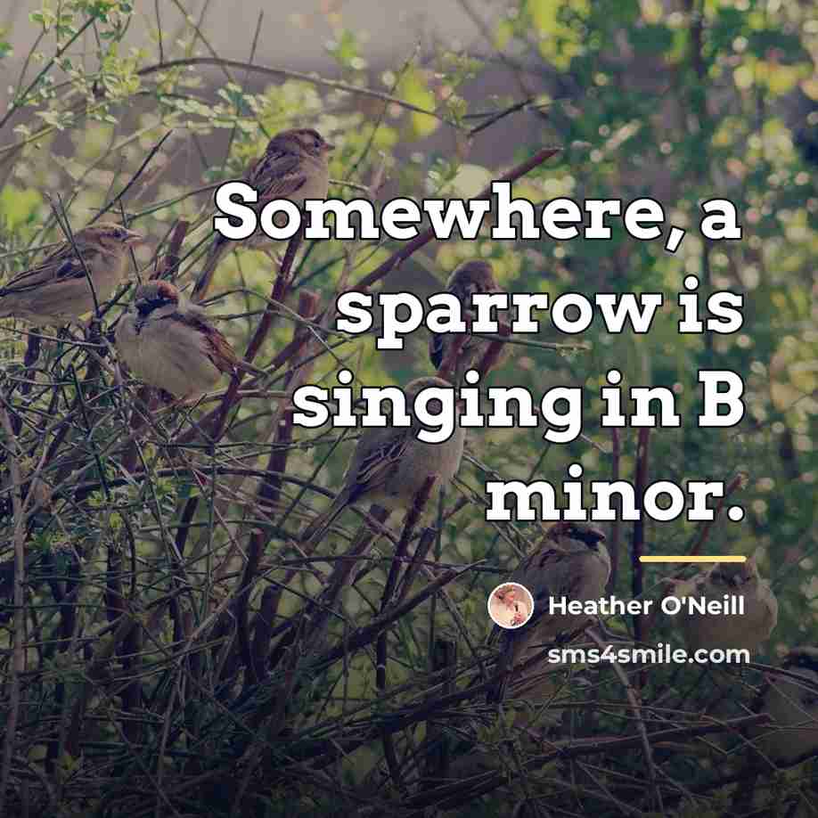“Somewhere, a sparrow is singing in B minor.…” quote by Heather O'Neill