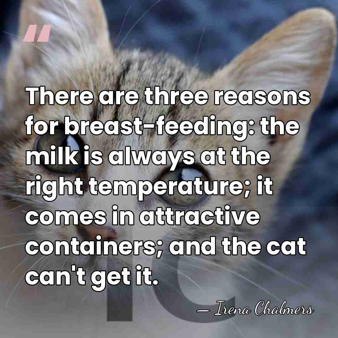 There are three reasons for breast-feeding: the milk is always at the&hellip; - Irena Chalmers