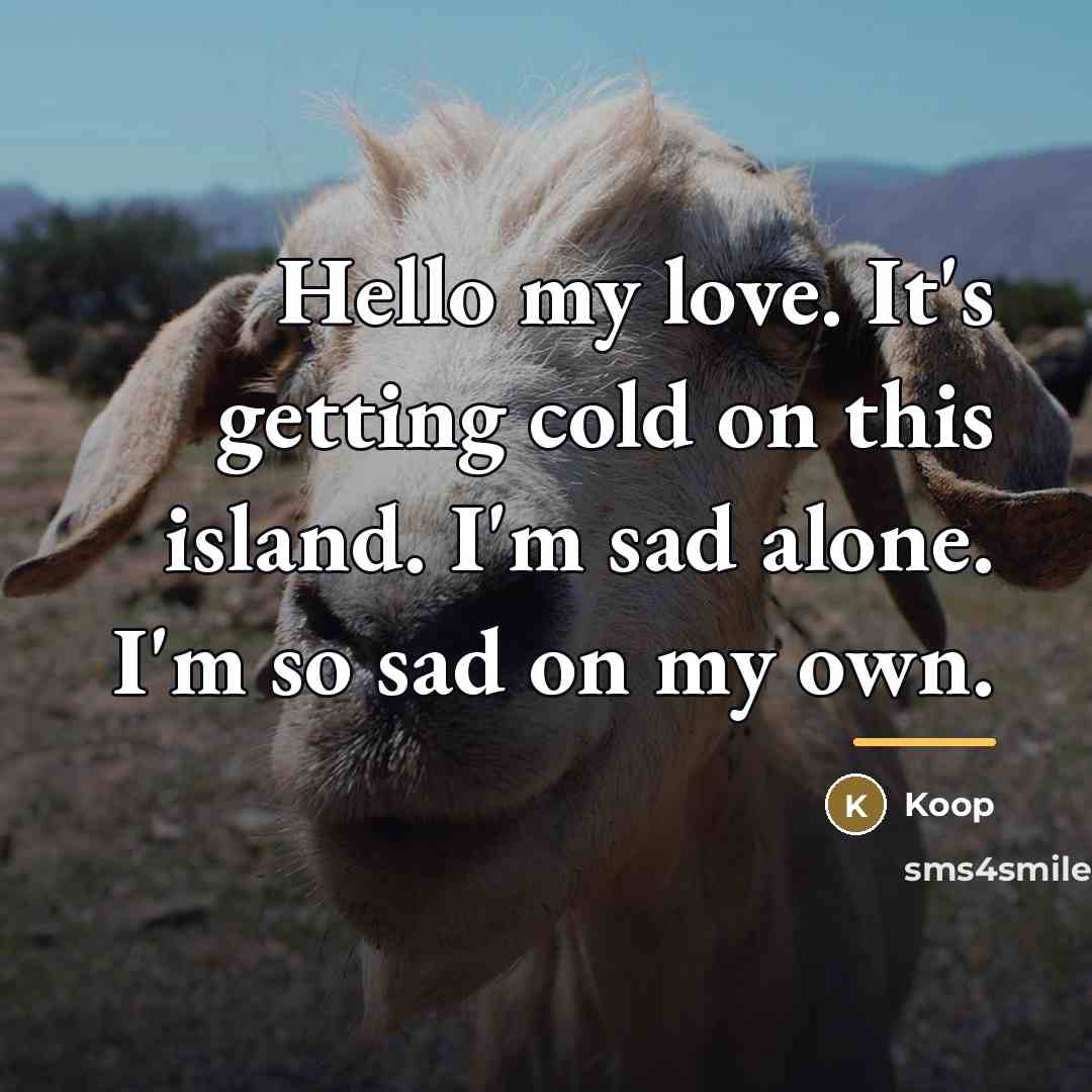 “Hello my love. It's getting cold on this island. I'm…” quote by Koop