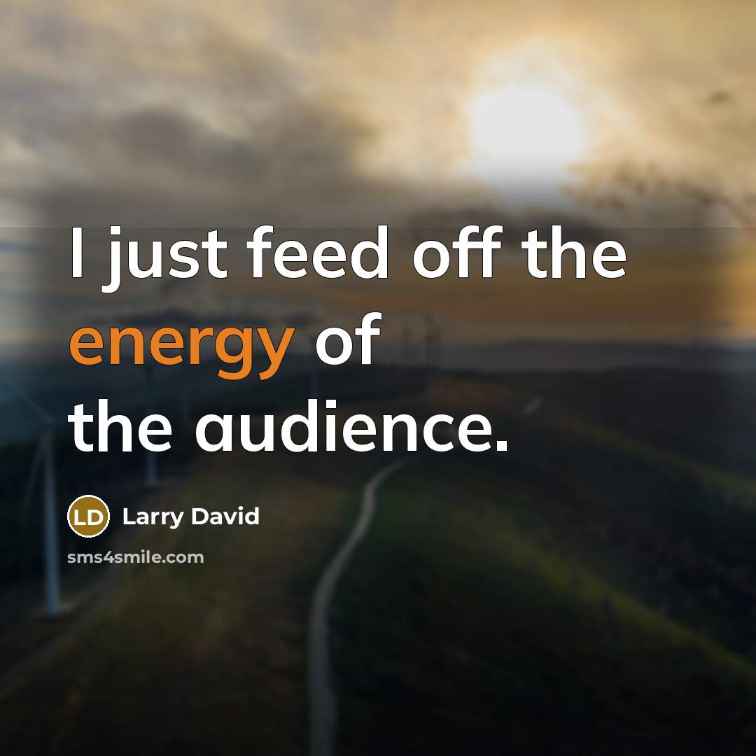 “I just feed off the energy of the audience.…” quote by Larry David