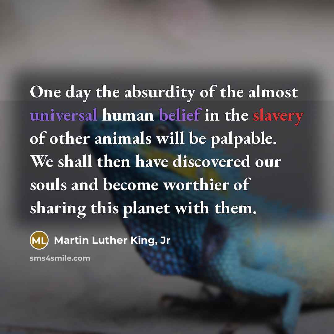 “One day the absurdity of the almost universal human belief…” quote by Martin Luther King, Jr