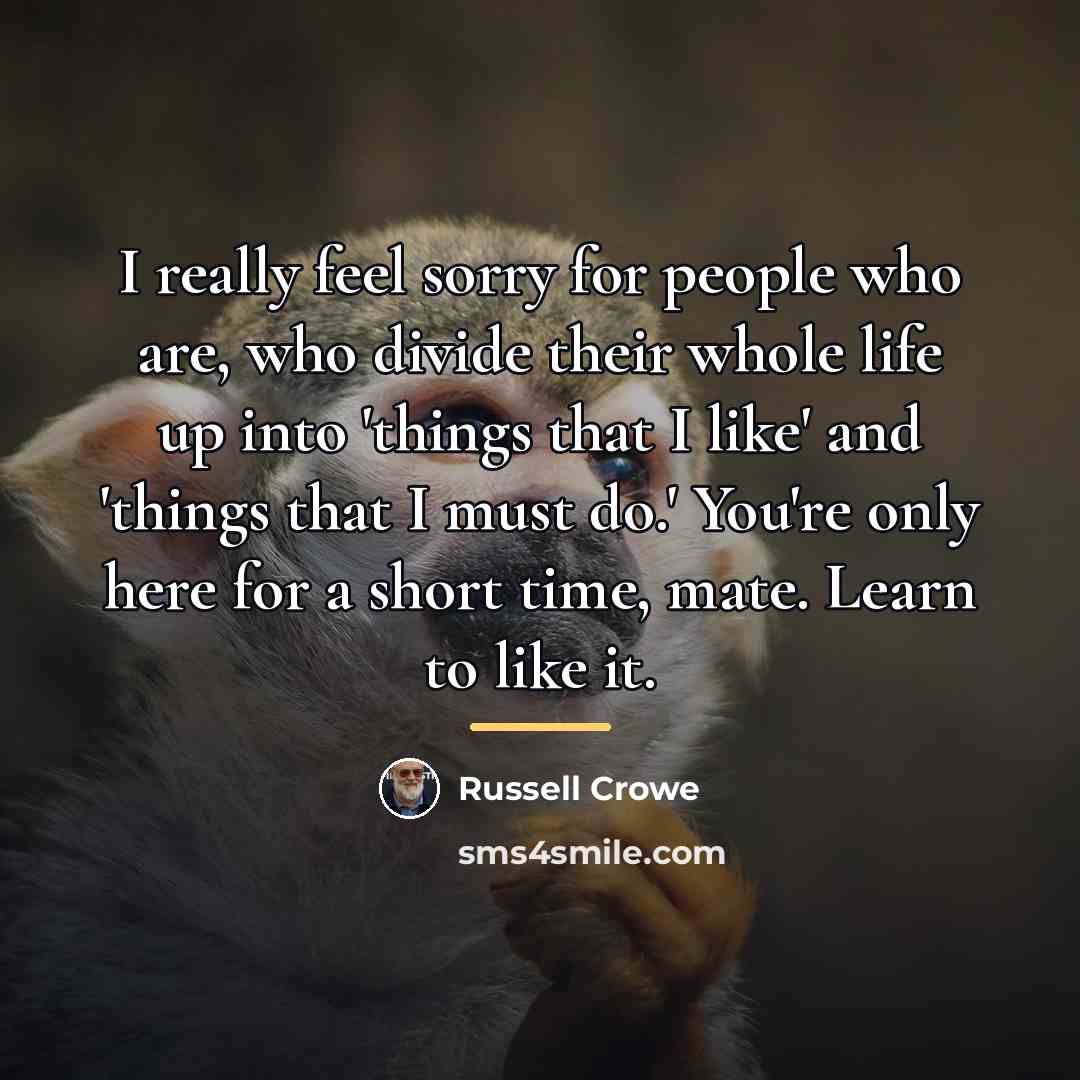 “I really feel sorry for people who are, who divide…” quote by Russell Crowe