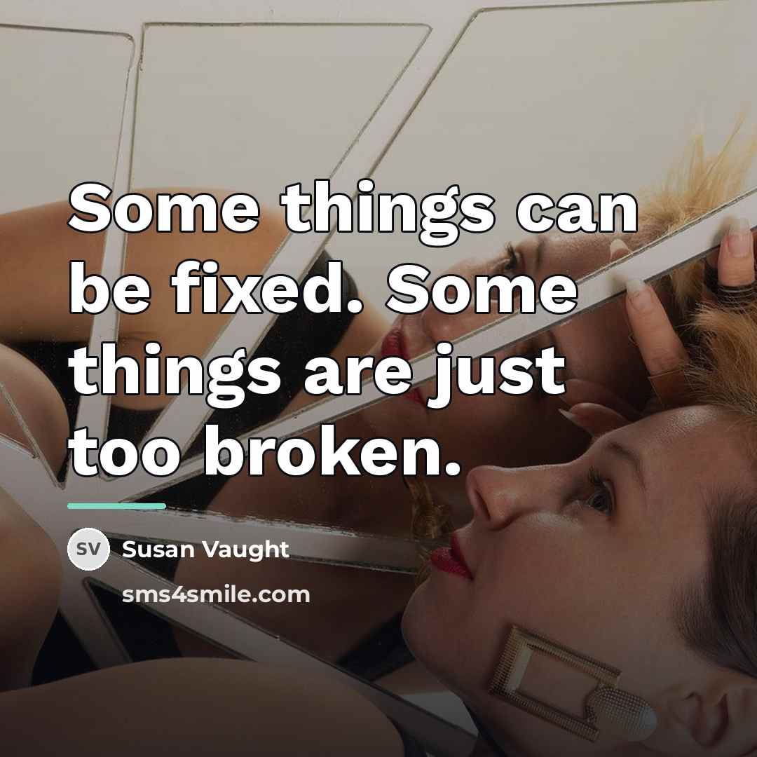 “Some things can be fixed. Some things are just too…” quote by Susan Vaught