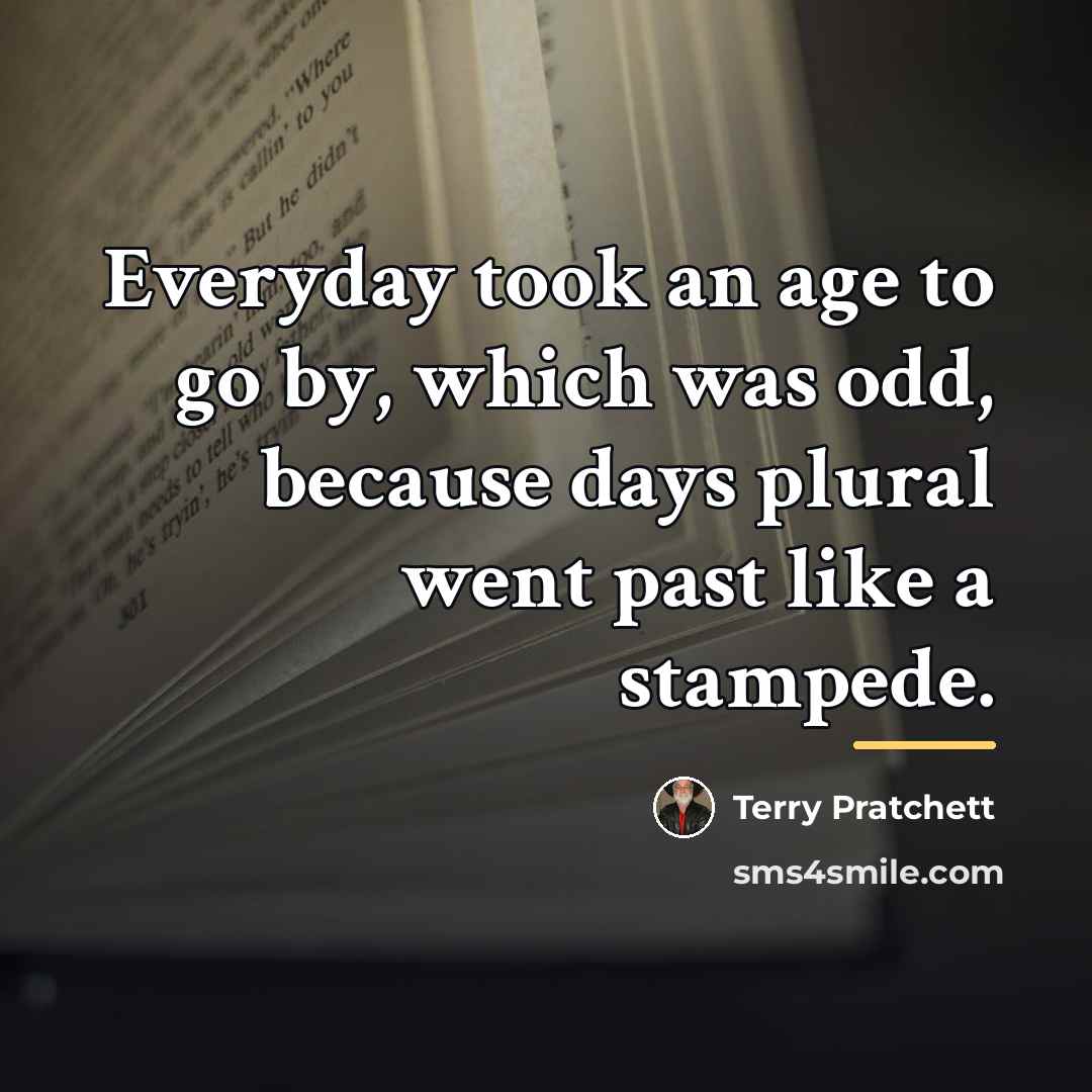 “Everyday took an age to go by, which was odd,…” quote by Terry Pratchett