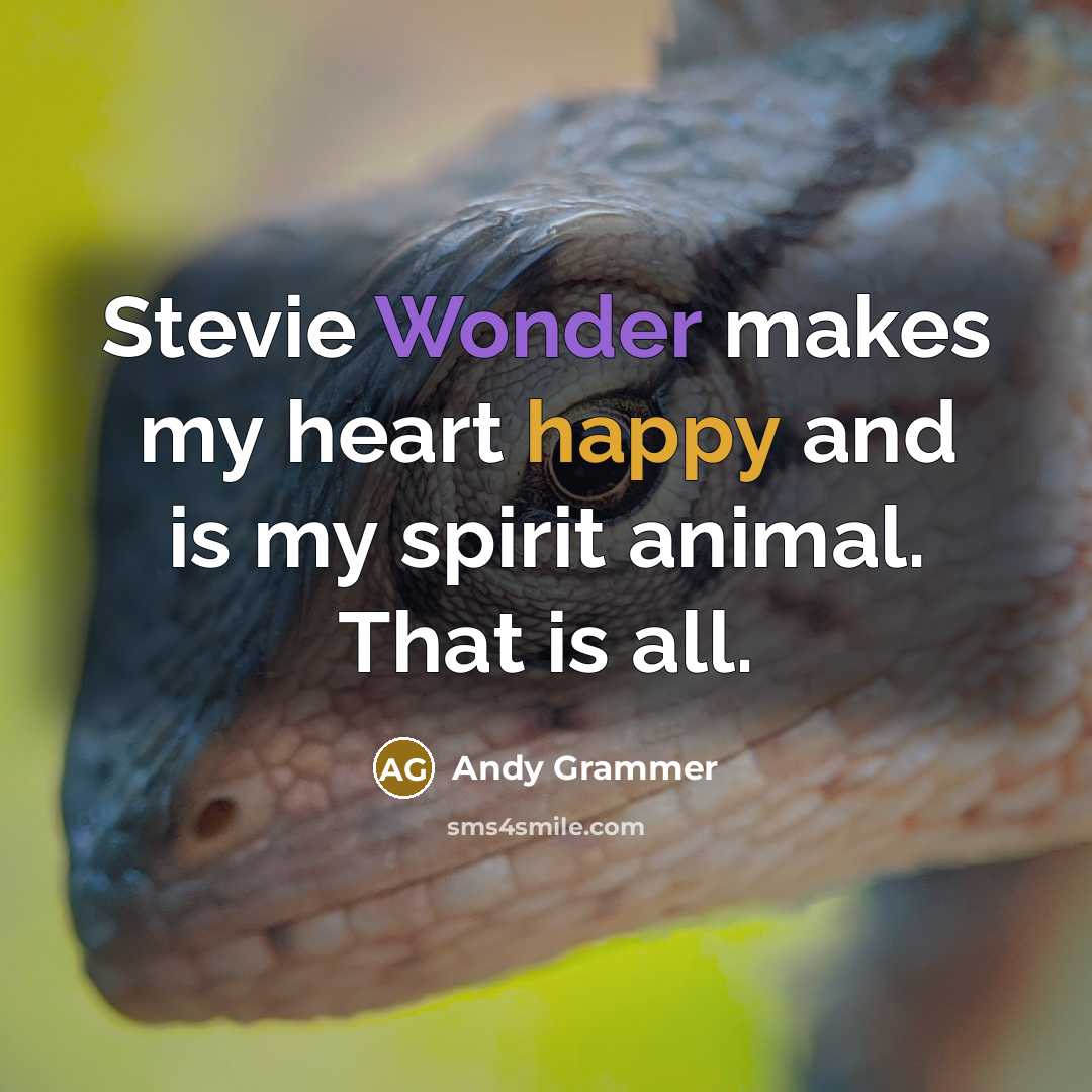 “Stevie Wonder makes my heart happy and is my spirit…” quote by Andy Grammer
