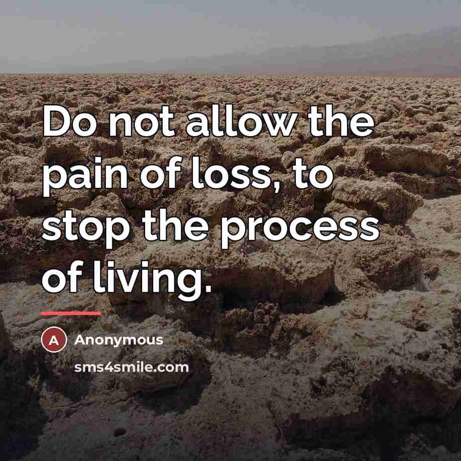 “Do not allow the pain of loss, to stop the…” quote by Anonymous