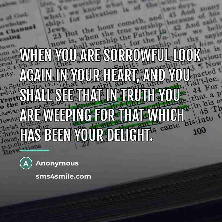 “When you are sorrowful look again in your heart, and…” quote by Anonymous