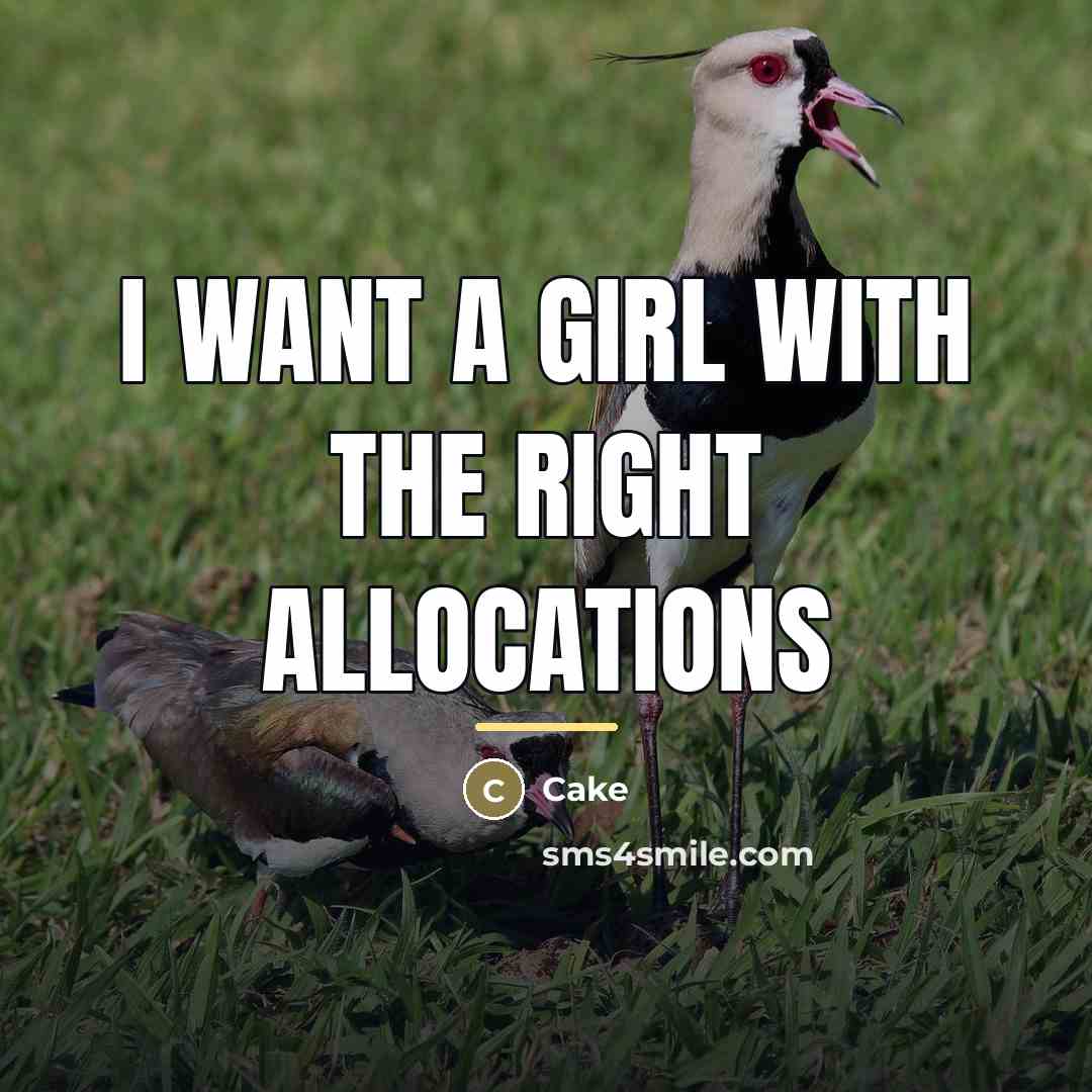 “I want a girl with the right allocations…” quote by Cake