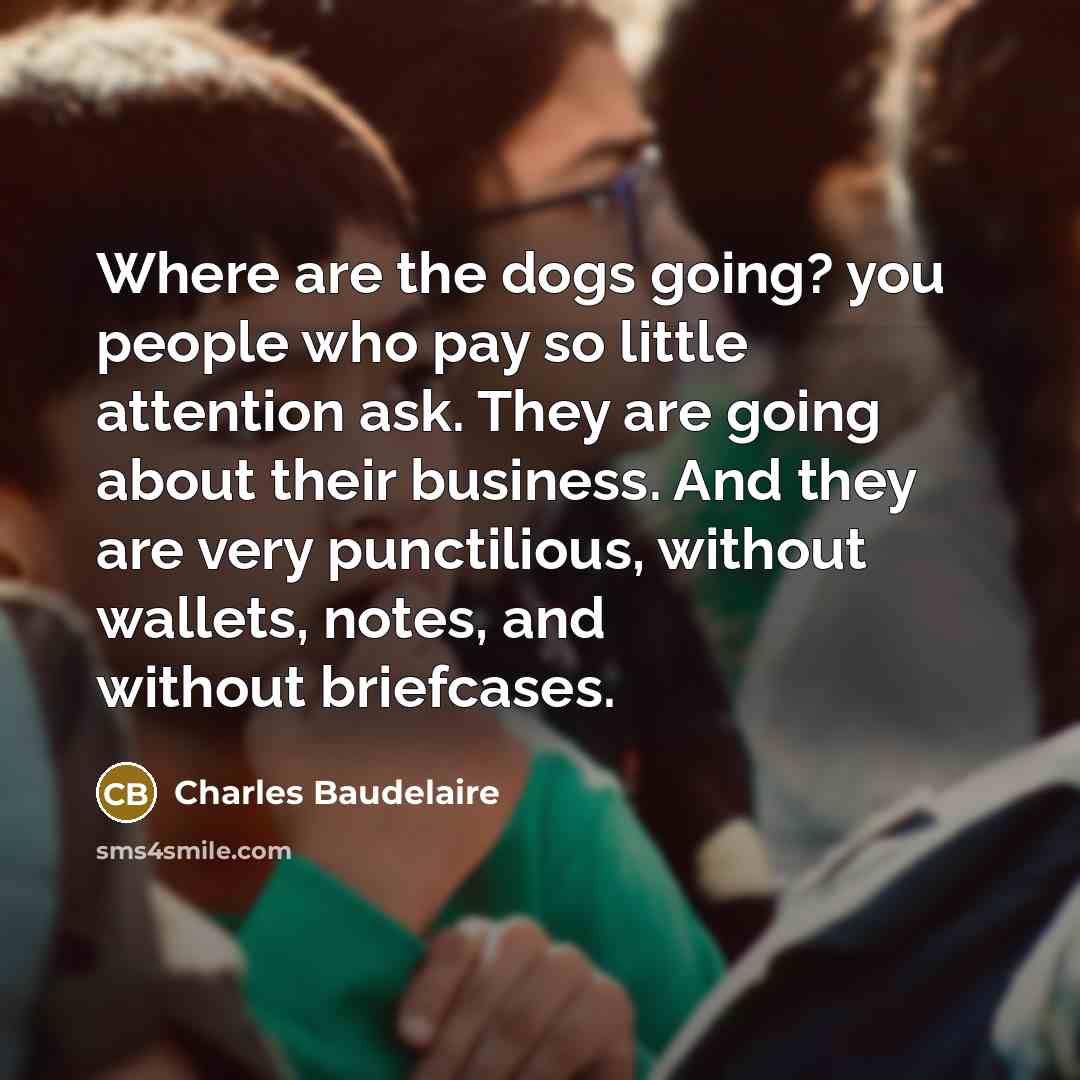 “Where are the dogs going? you people who pay so…” quote by Charles Baudelaire
