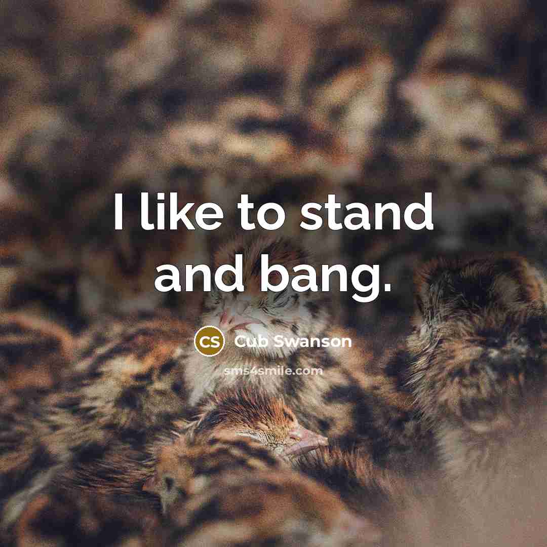 “I like to stand and bang.…” quote by Cub Swanson
