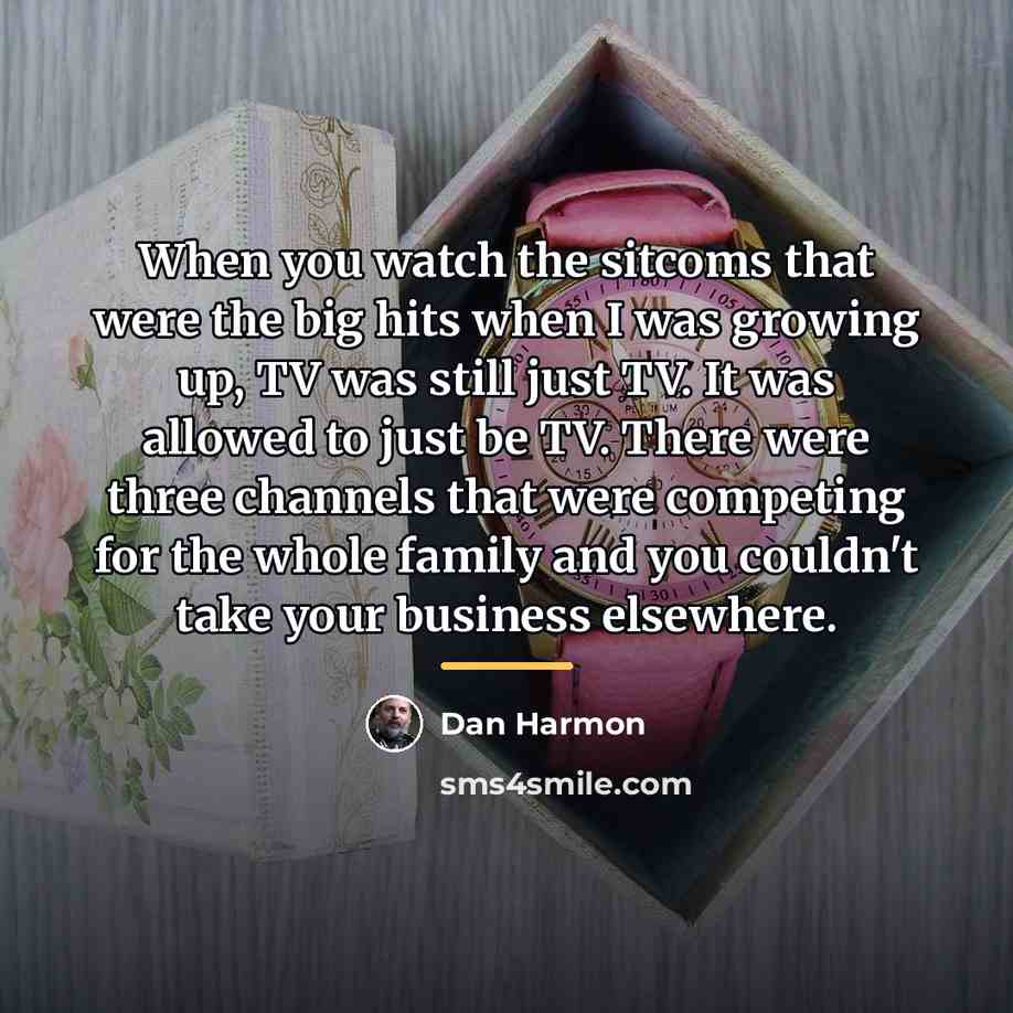 “When you watch the sitcoms that were the big hits…” quote by Dan Harmon