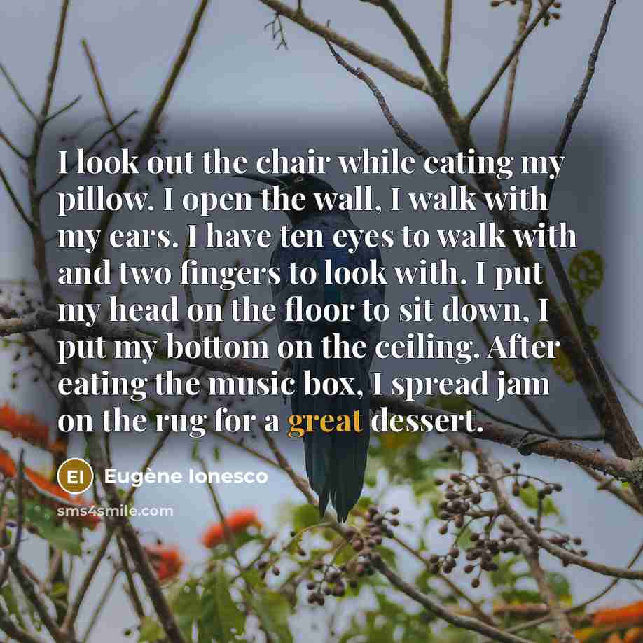 “I look out the chair while eating my pillow. I…” quote by Eugene Ionesco