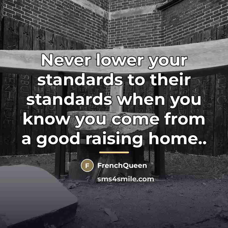 “Never lower your standards to their standards when you know…” quote by Frenchqueen