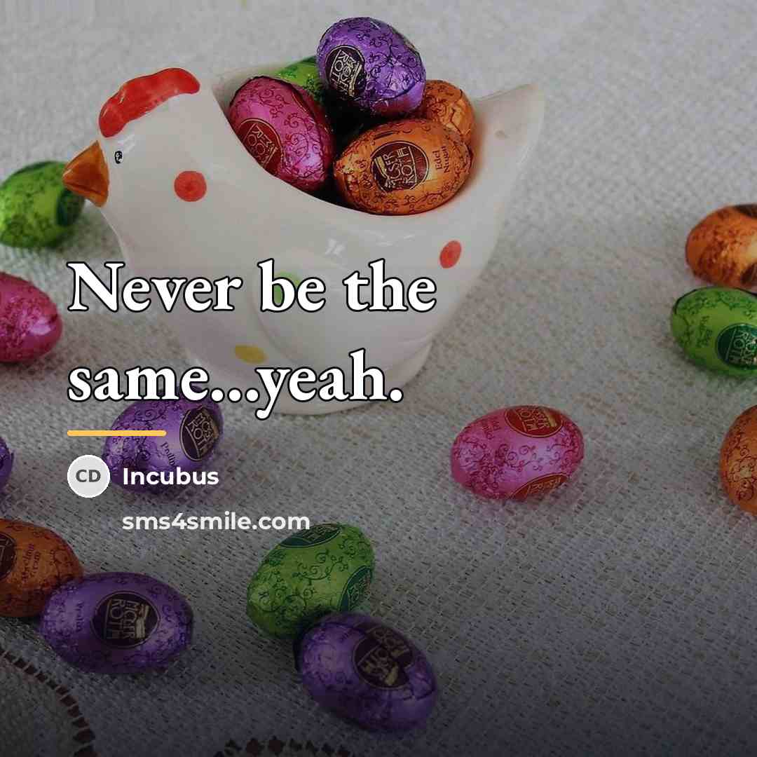 “Never be the same...yeah.…” quote by Incubus