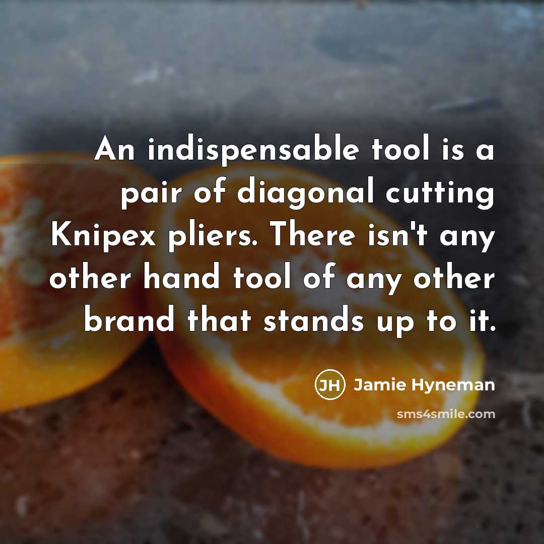 “An indispensable tool is a pair of diagonal cutting Knipex…” quote by Jamie Hyneman