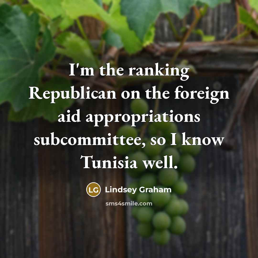 “I'm the ranking Republican on the foreign aid appropriations subcommittee,…” quote by Lindsey Graham