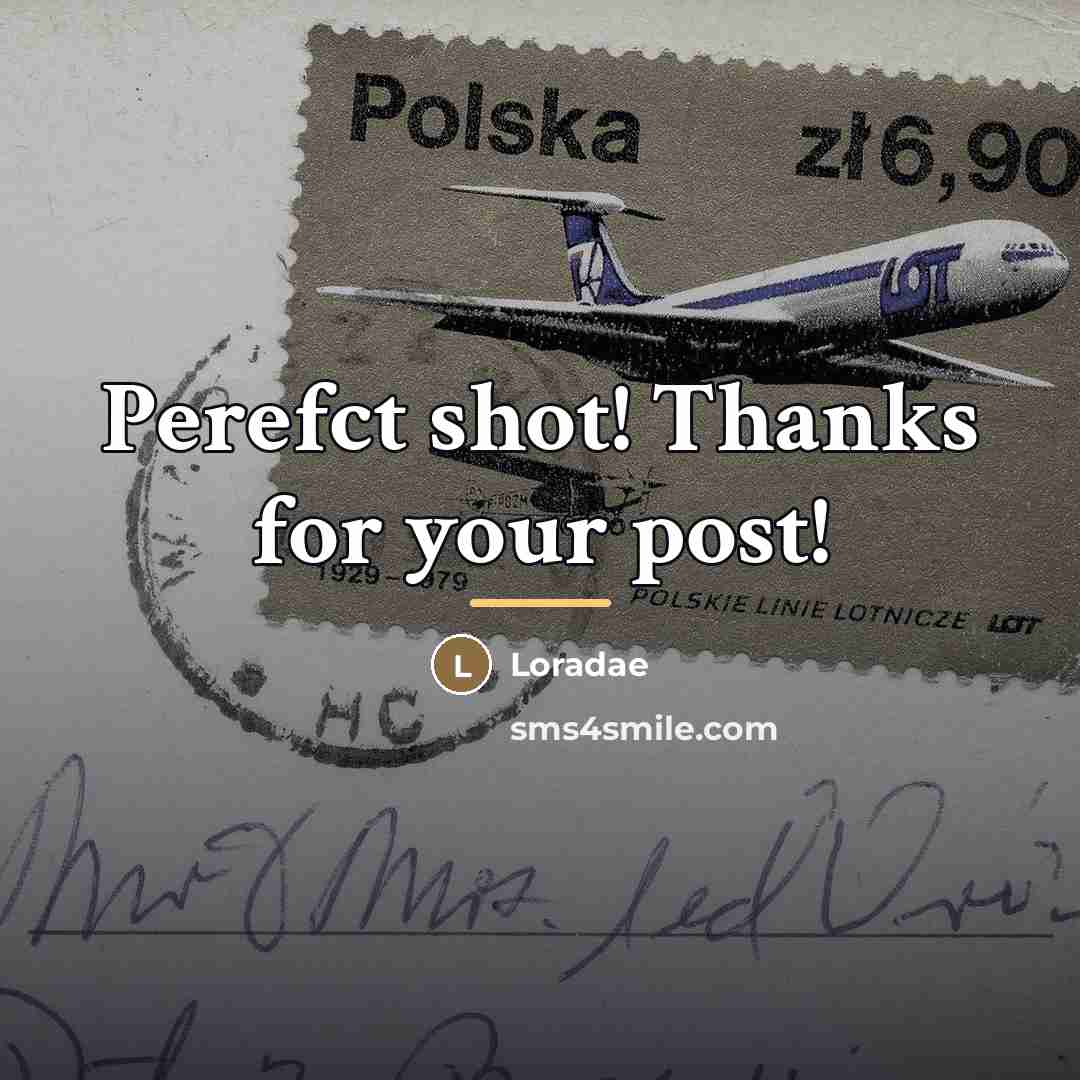 “Perefct shot! Thanks for your post!…” quote by Loradae