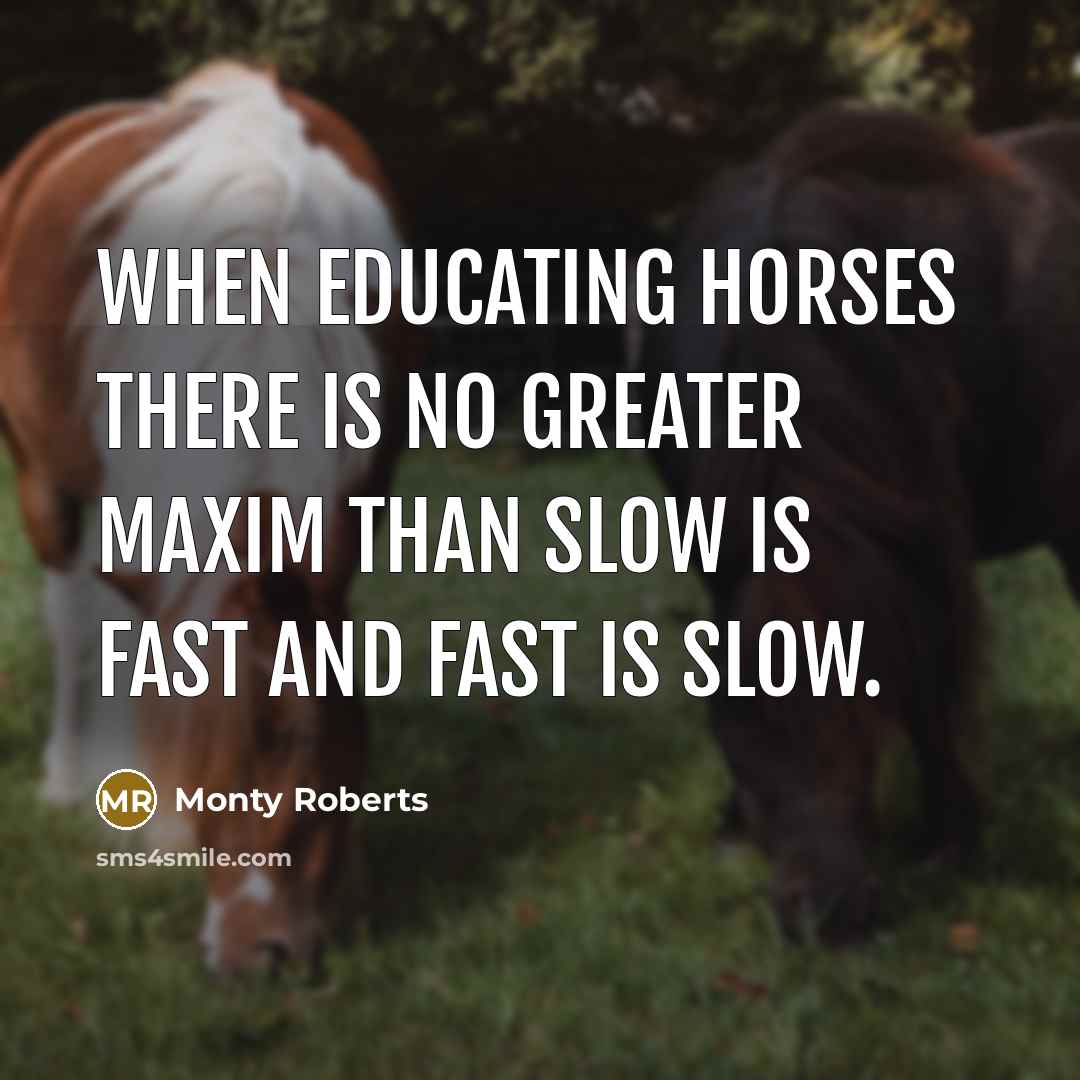 “When educating horses there is no greater maxim than slow…” quote by Monty Roberts